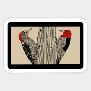Red Bellied and Red Headed Woodpecker Sticker